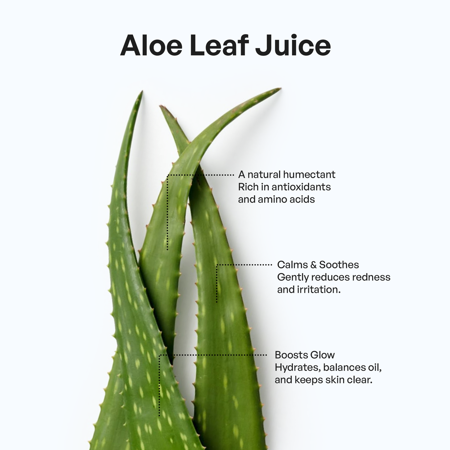 Foaming Oil Cleanser