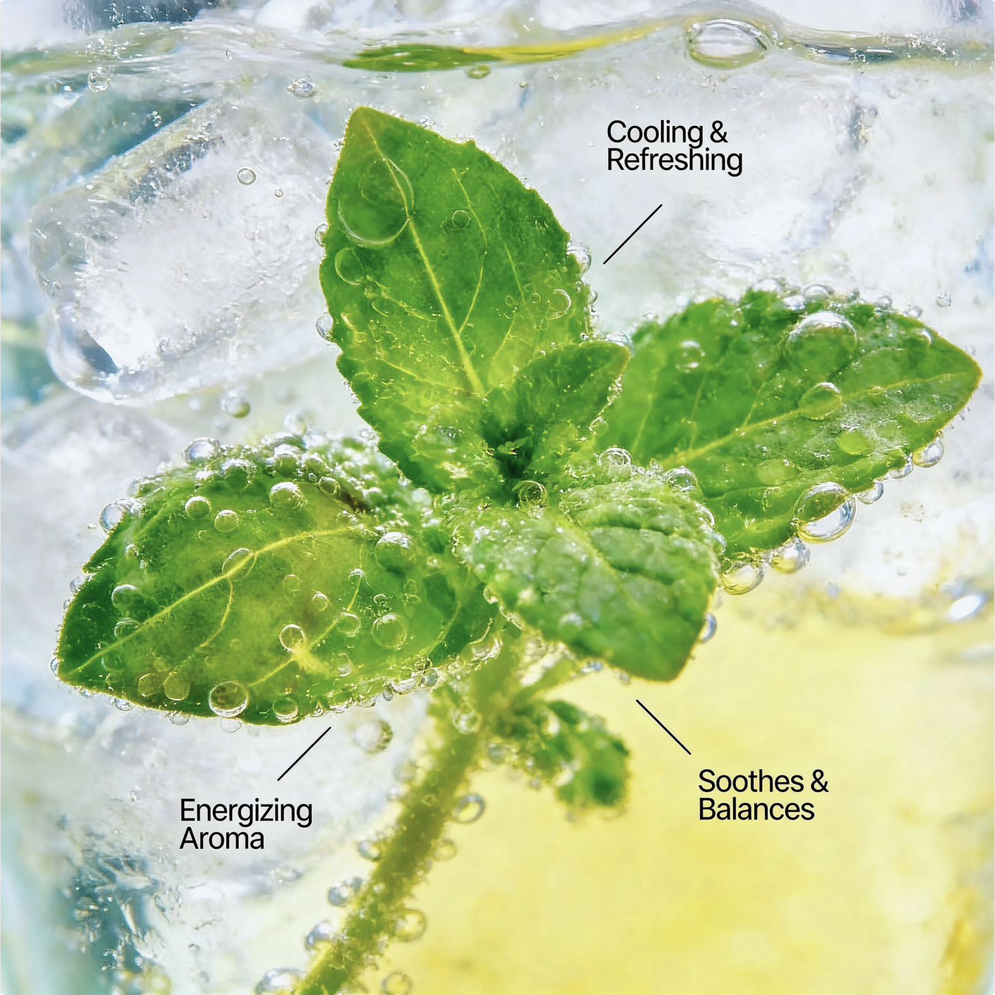 Peptide Peppermint Deodorant